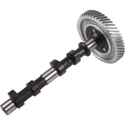 Camshaft, new, standard size with flat gear