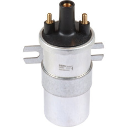 Ignition coil, 12 Volt, silver, Beru ZS565